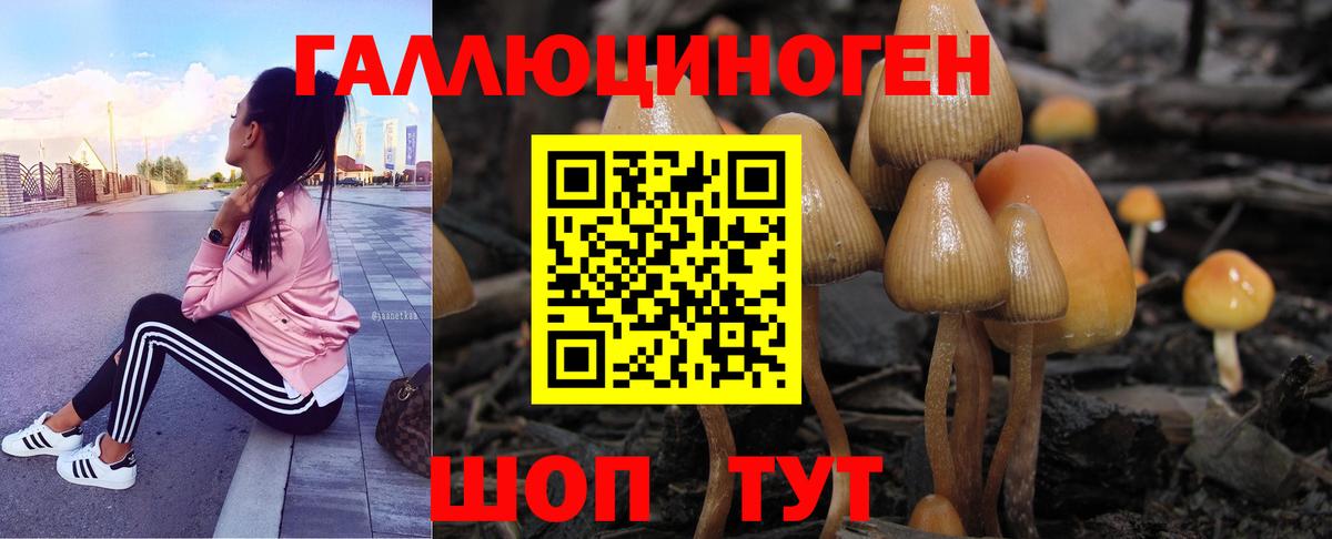 Котовск  даркнет сайт  Вход с VPN  Галлюциногенные грибы Magic Shrooms 